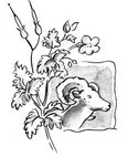 Image description